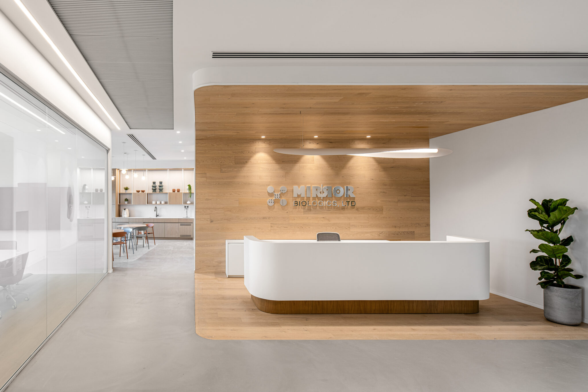 Mirror Biologics logo in brushed metal letters on a wood reception wall