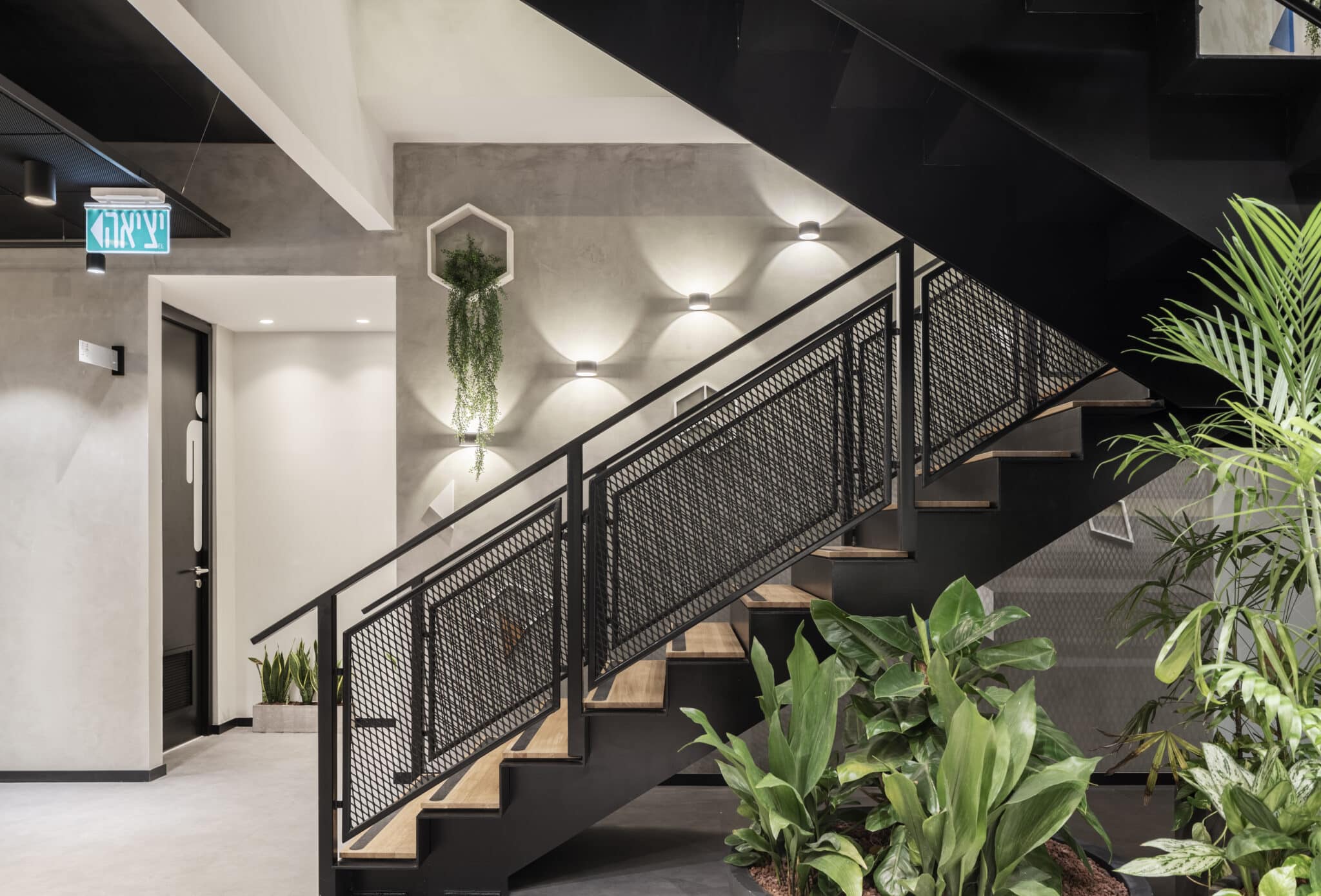 Hexagon wall frame with a plant above the staircase