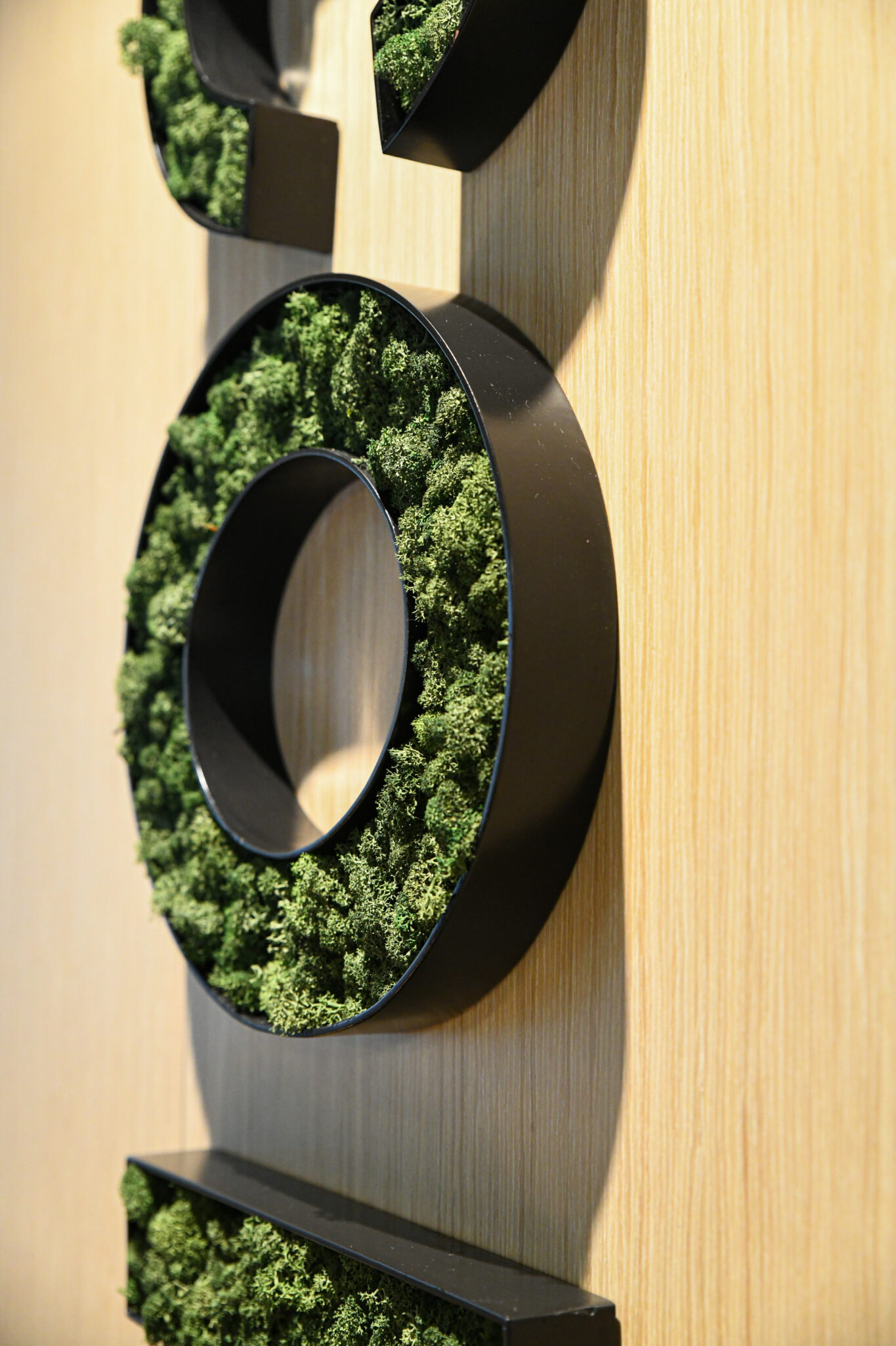 Close-up of 3D letters filled with green moss on wood